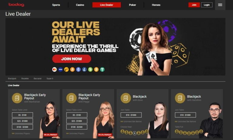 Discover Top-Tier Online Blackjack Gaming with Bodog: Where Excitement Meets Strategy
